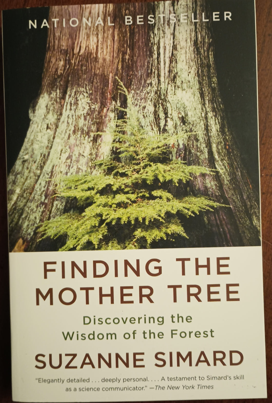 Finding the Mother Tree