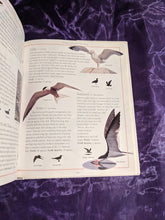 Load image into Gallery viewer, National Audubon Society Birder&#39;s Handbook
