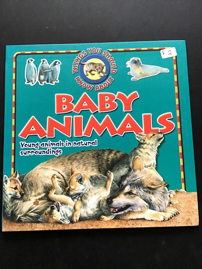 Baby Animals